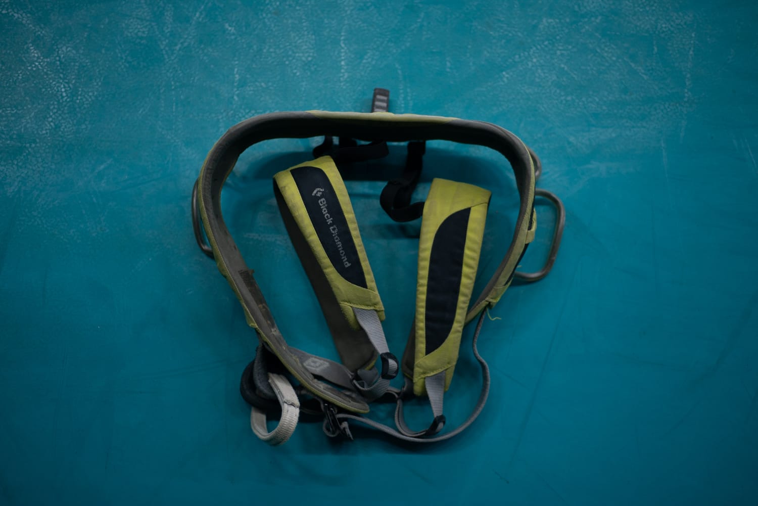 Climbing Harness